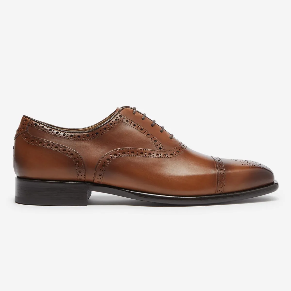 Falerna Dark Tan