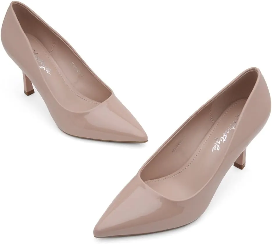 Herstyle Women's 3 Inch Stiletto Pumps ?C Comfortable Classic Pointed Closed Toe High Heels for Women, Fashionable Dressy Elegant Work Office Wedding Shoes
